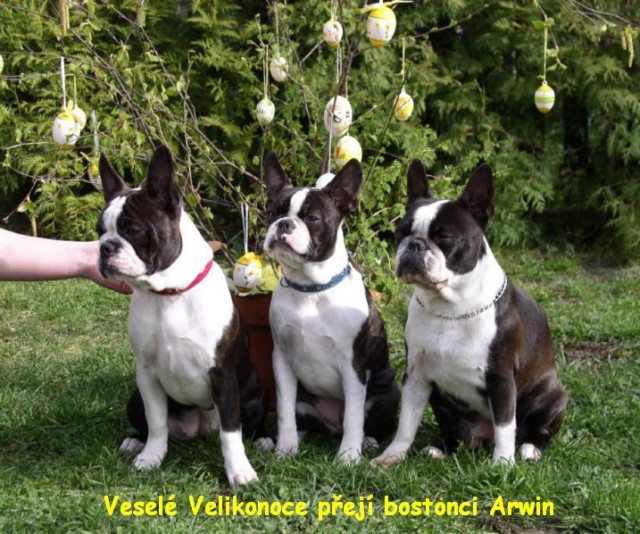 Vesel� Velikonoce