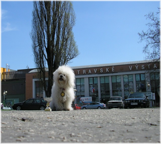 na v�stav�