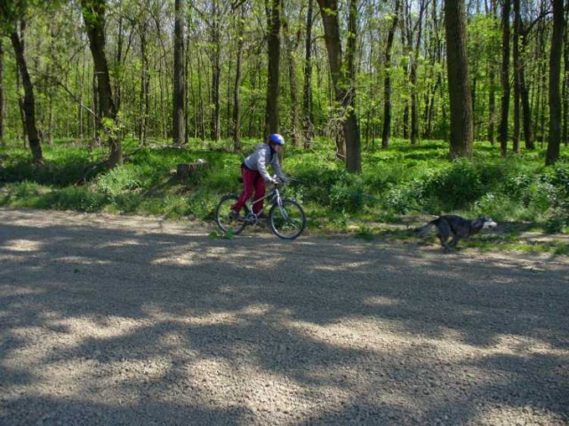 Bikej�ring1