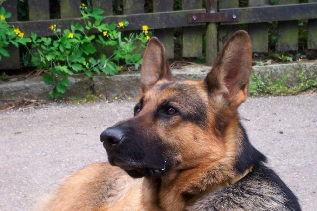 Co po mn� zase cht�j�?