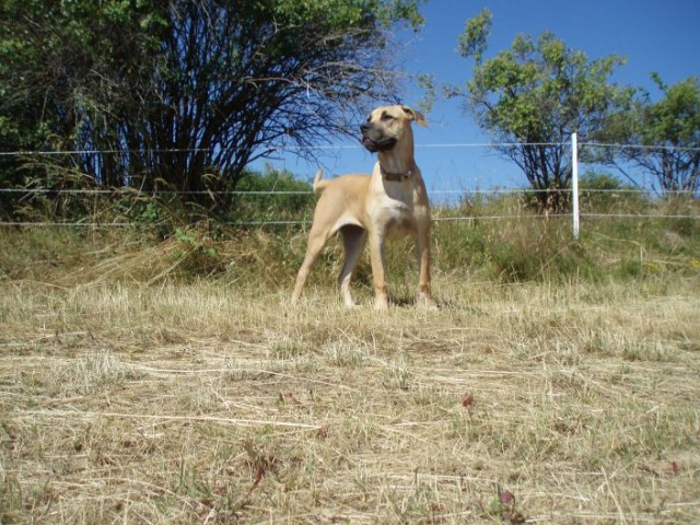 Afrodite na str�i