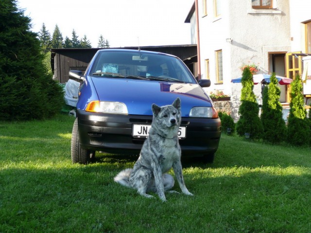 Moje sme�ka