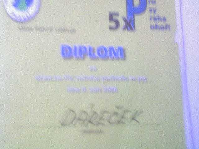 ruzn�