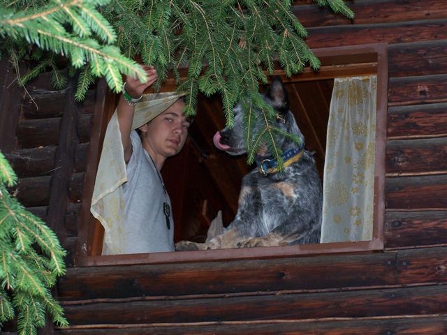 Co tam m� dobr�ho?