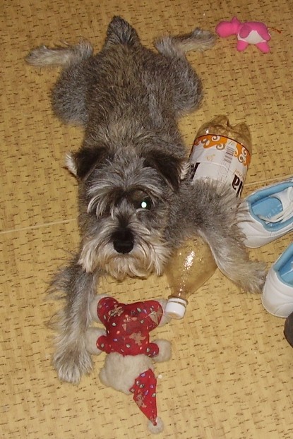 �aki a pet fla�ka