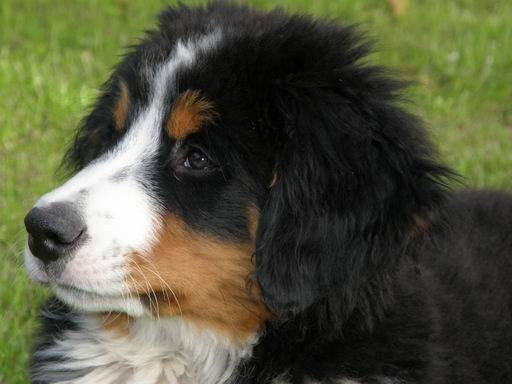 a jedno detailn� foto
