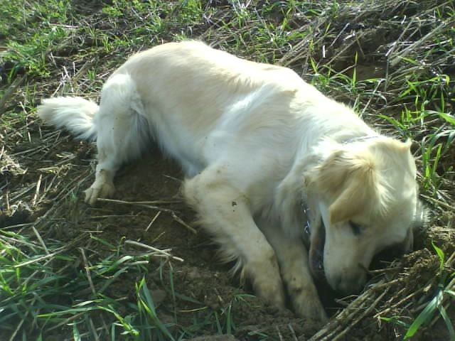 My�ilov