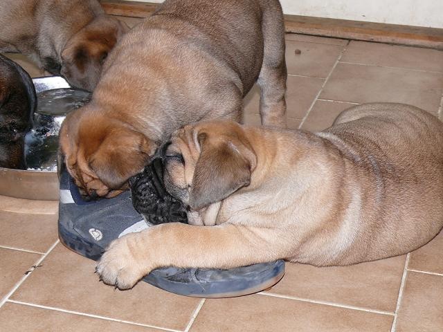 ta bota m� ale s�lu