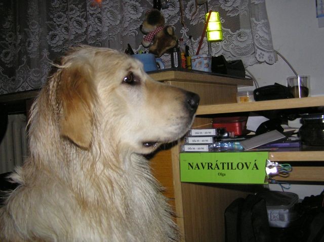 Nap�nav� chv�le