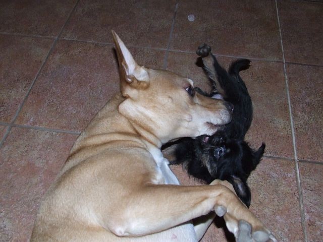jednou t� p�eperu