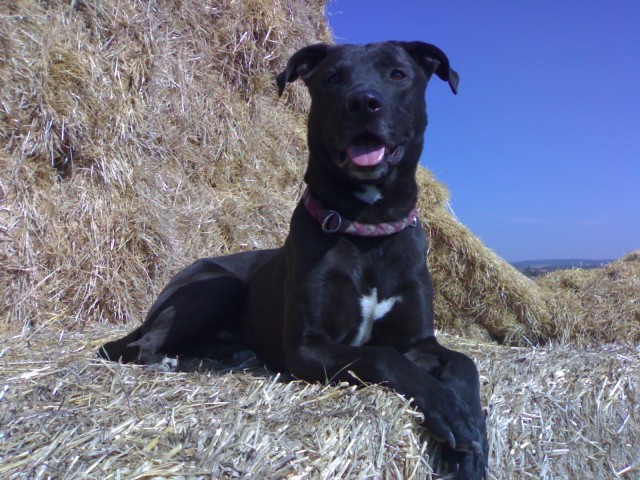 Berry p�zuje :-)