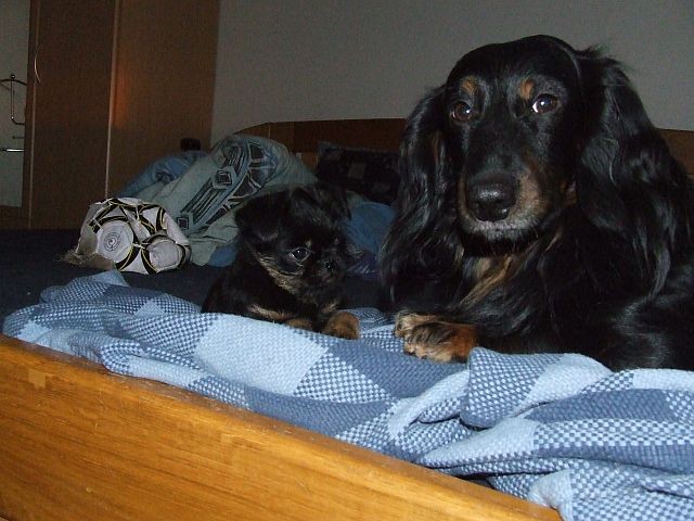 Rufus a Faust�k