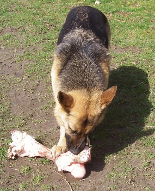 M�amka