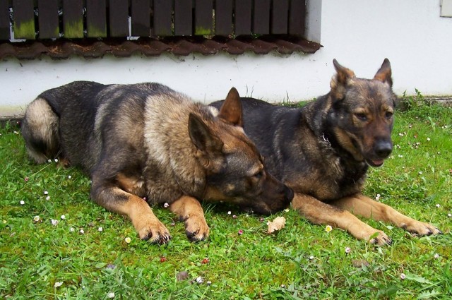 Setk�n� s maminkou