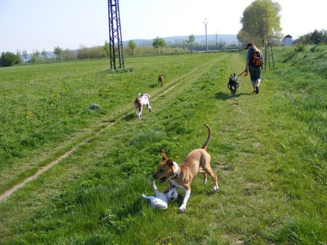 Trha�!:)
