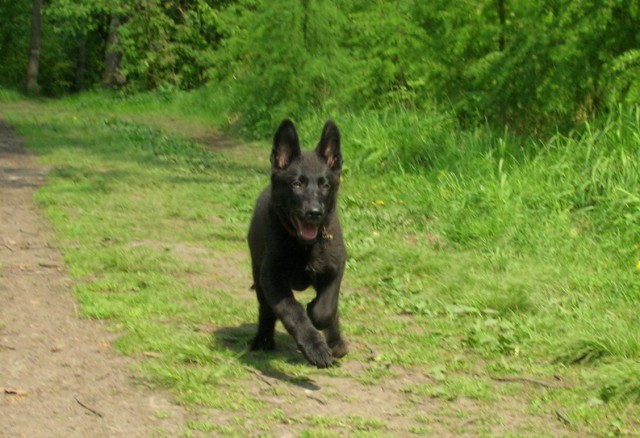 Pirra - na v�let� :-)