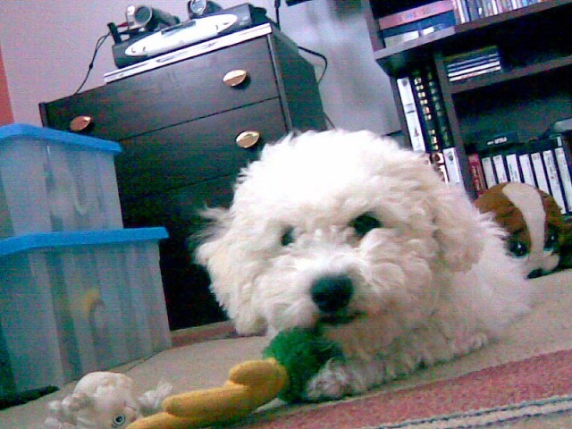 ..to je moje hra�ka! .. 21.05.08