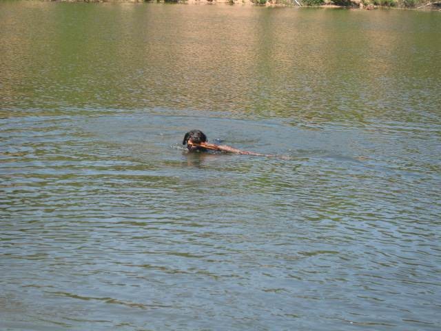 Plav�n�