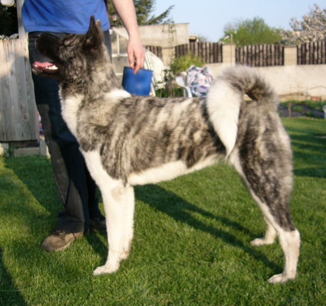 Cvi��me