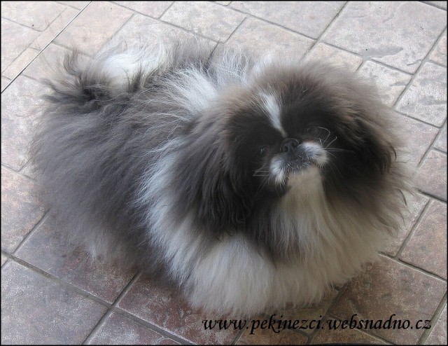 EDMOND od Mach��k�