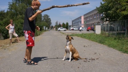 Ten aport bude m�j!