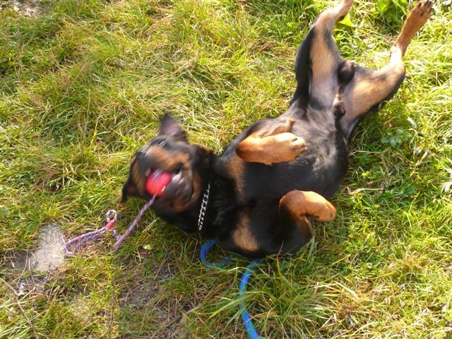 Hur� bal�nek :o)))