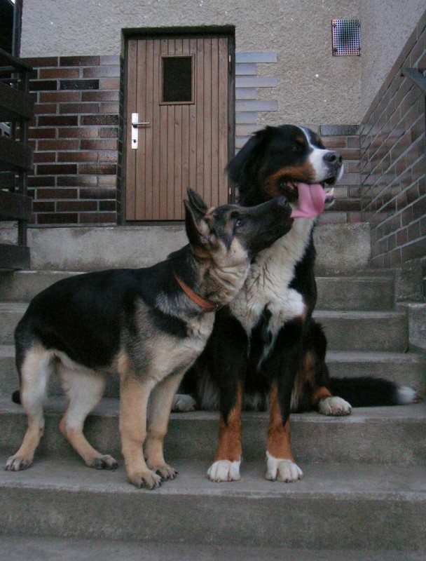 m� m�j obdiv :-)