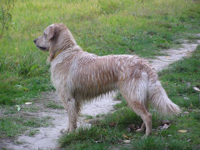 Mokrej�