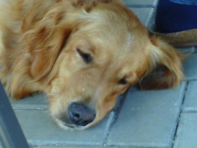 Spink�