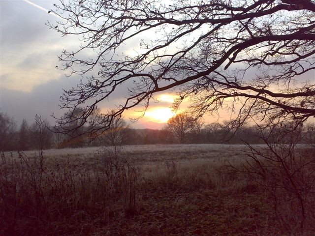 ...jednoho kr�sn�ho dne...
