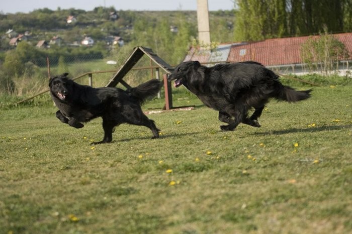 Poj� si hr�t