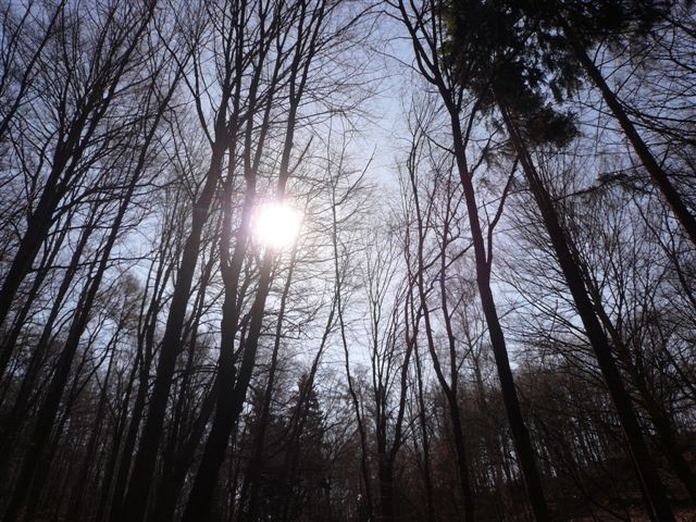 prvn� slun��ko:o)