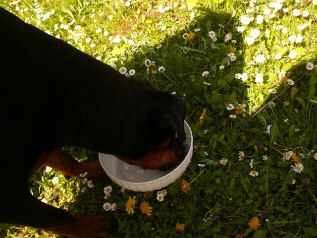 a taky se pot�p�m...