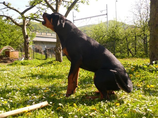 hl�d����m....