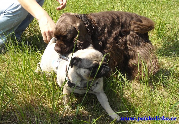 Tahle sle�na se mi obzvl᚝ l�b�