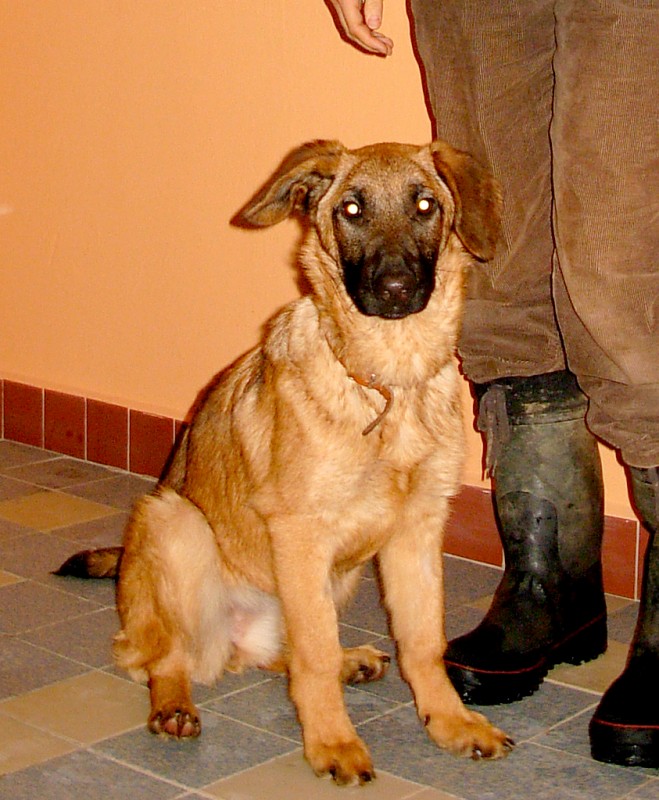 kr�sn� Bakinka