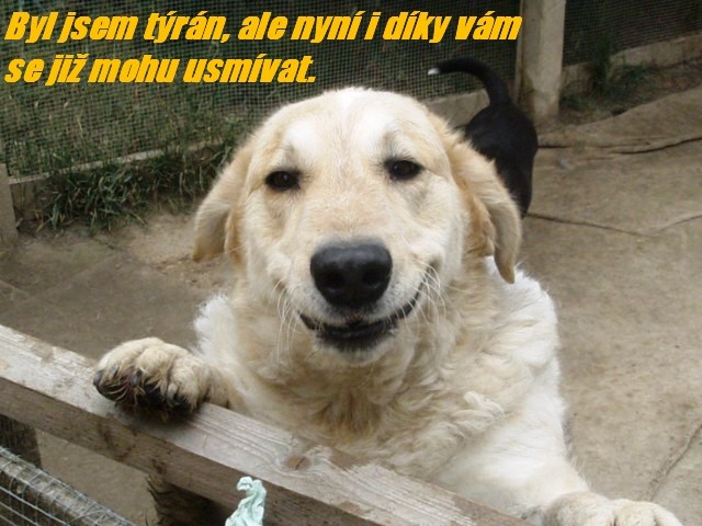�sm�v