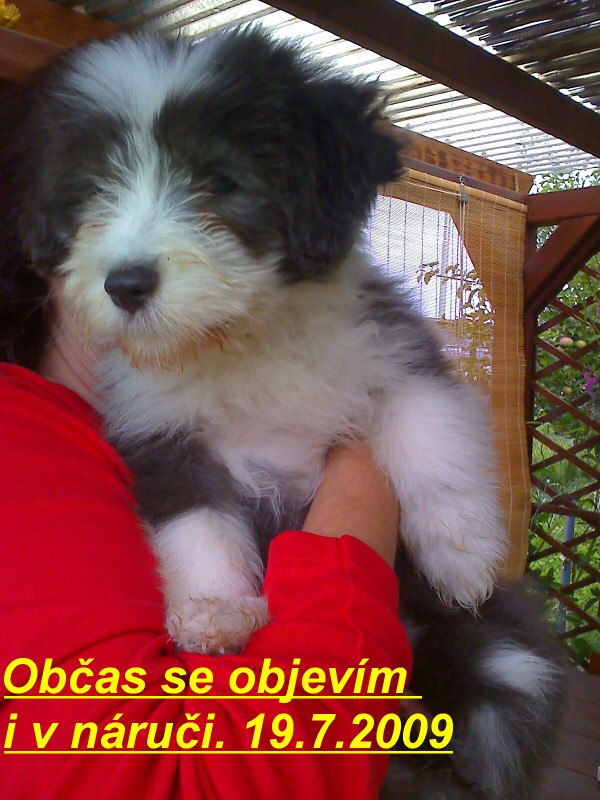 Jsem zat�m malink�