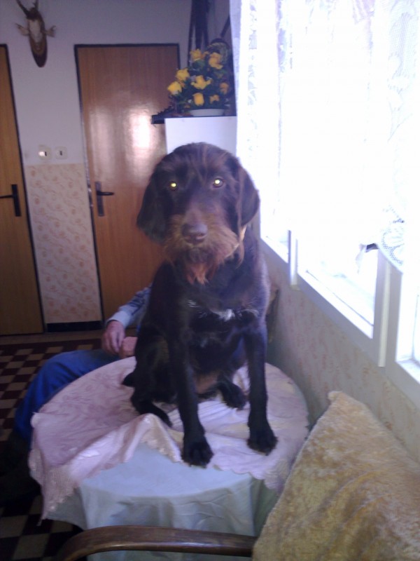 tak� sm�m ob�as na st�l