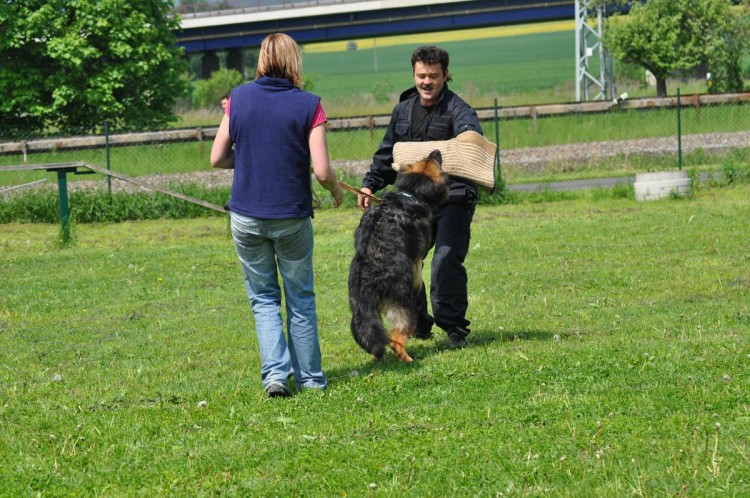 Axel kous�n�