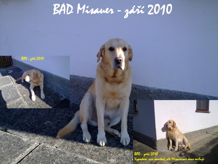 T�i a p�ece jeden