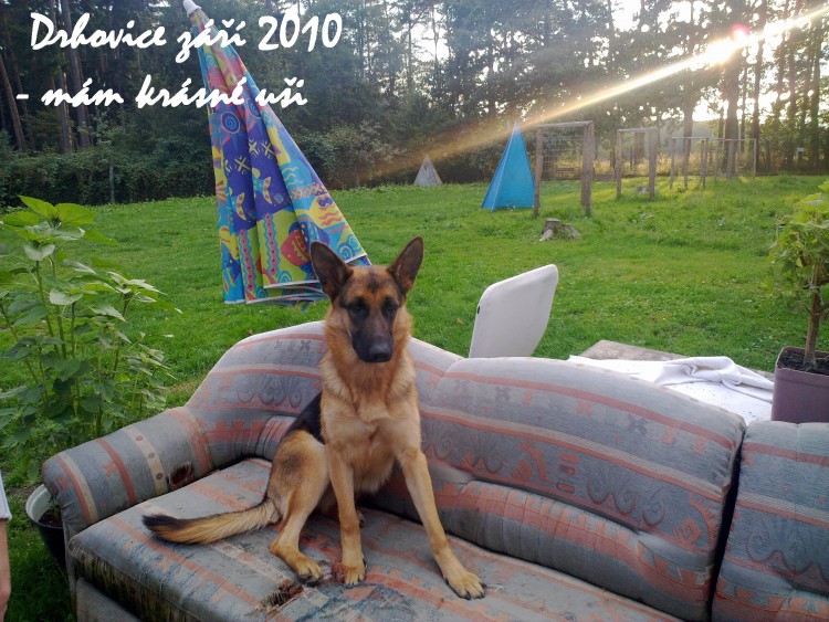 To jsou u�i.....