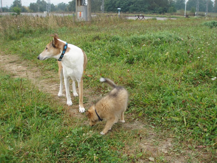 na proch�zce