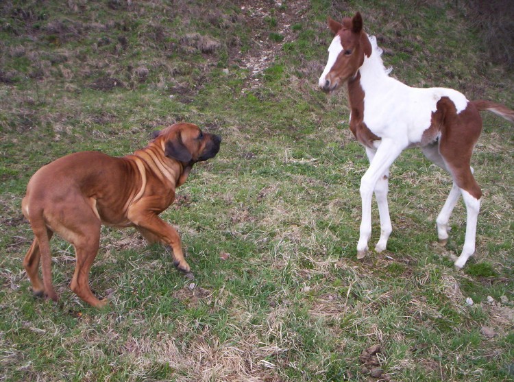 Gino a Kyti�ka