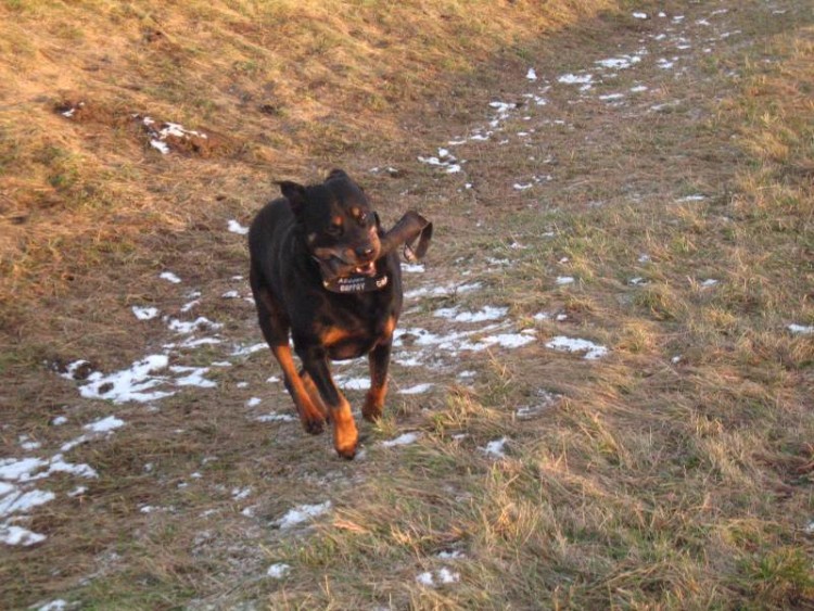 S�dlo ��� ho nese