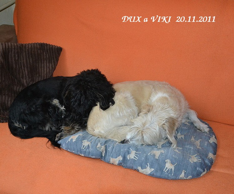 Tvrd� sp�me...