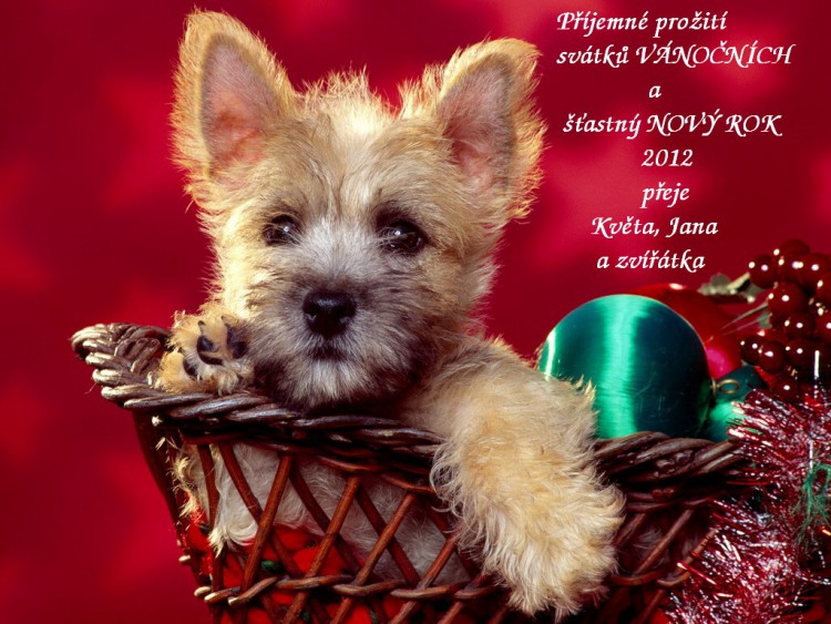 Jen to nejlep��