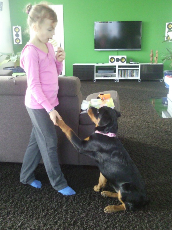 4,5 m�s�ce