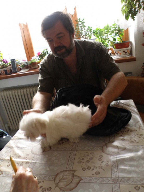 02 Bellinka �t���tko