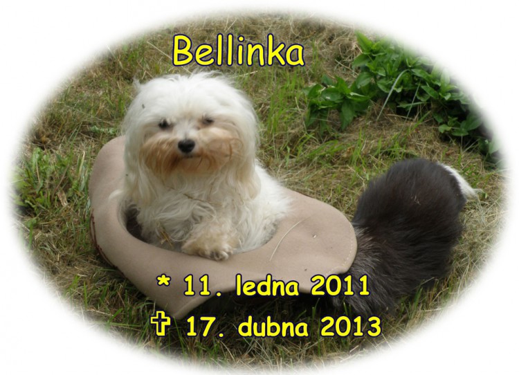 130 Bell�ek
